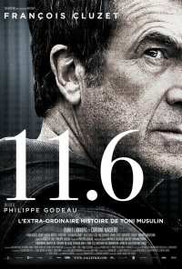 11.6 (2013)